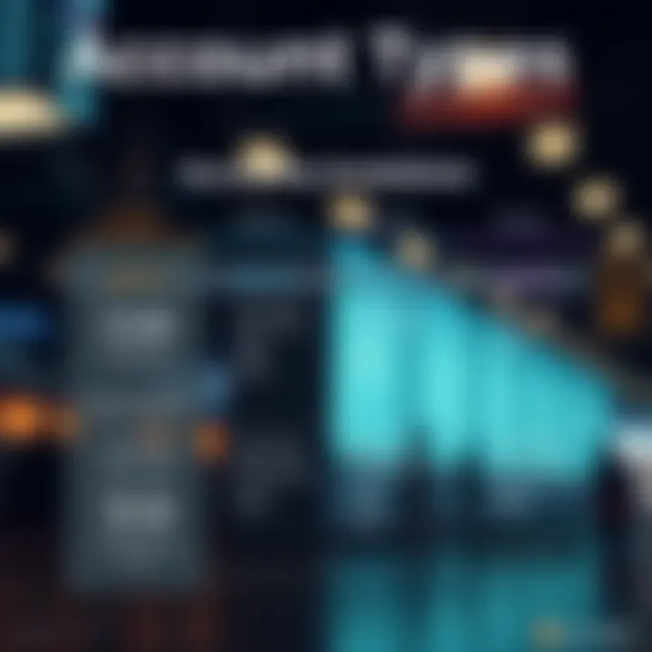 Infographic on account types offered by brokers