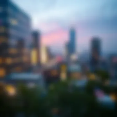 Diverse Investment Strategies for International Growth Funds Investment strategies for growth