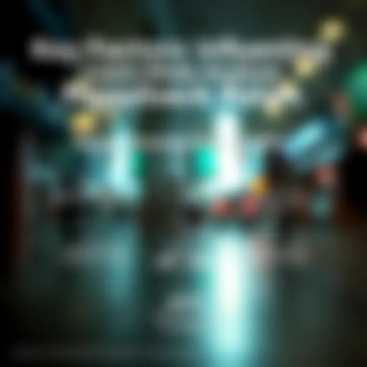 Key Factors Influencing Piggyback Loan Rates Infographic detailing factors affecting piggyback loan rates