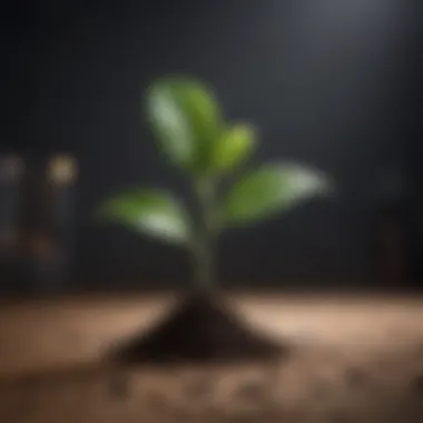 A growing plant symbolizing financial growth