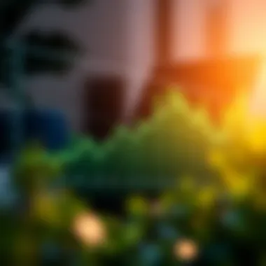 Graph illustrating the performance metrics of the Janus Mid Cap Value Fund