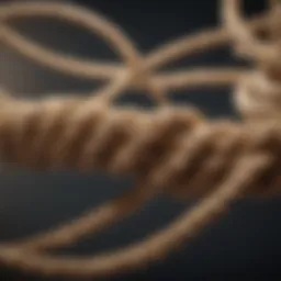 Illustration of tangled ropes symbolizing financial obligations